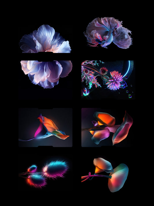 COLLECTION 9
