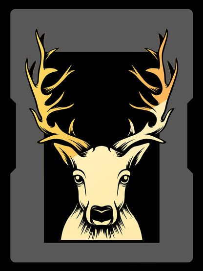 DESIGN 37